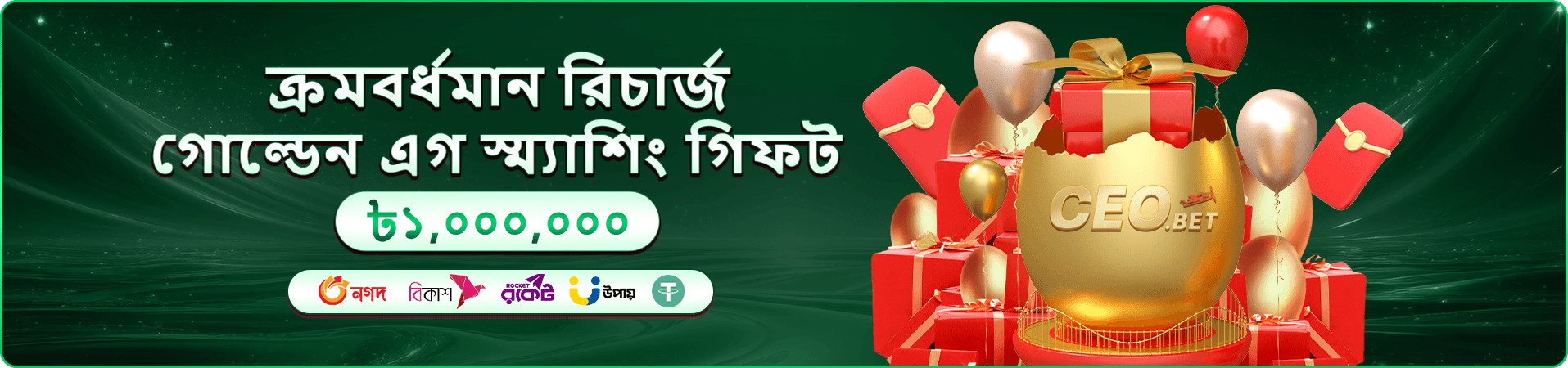 ভিকের রঙিন গেম প্রচারচিত্র ৪
